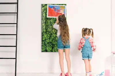 Forest Trees Nature Magnet Board