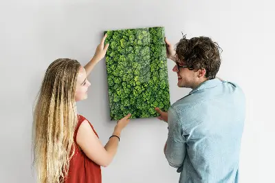 Forest Trees Nature Magnet Board