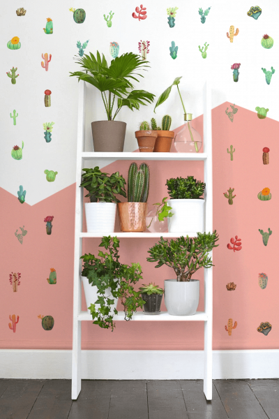 Cacti Mix