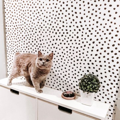 Dots wallpapers