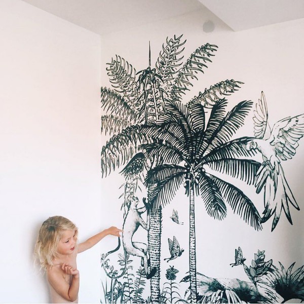 Palm tree wall murals, palm wallpapers - ColorayDecor.com