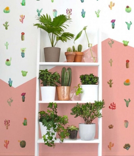 Cacti Mix